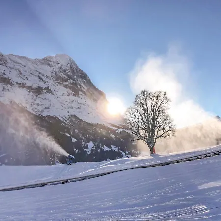 Appartement Bodmisunne-2 By Interhome Grindelwald