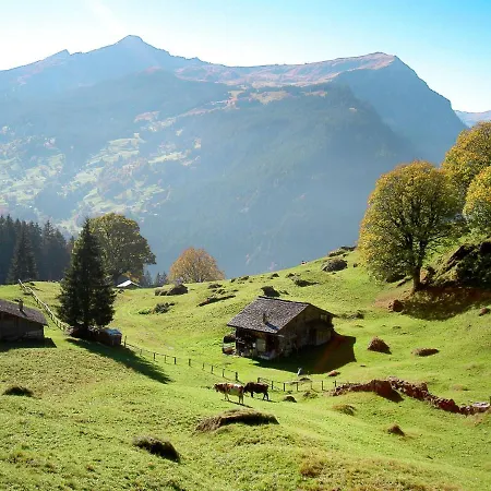 Bodmisunne-2 By Interhome Appartement