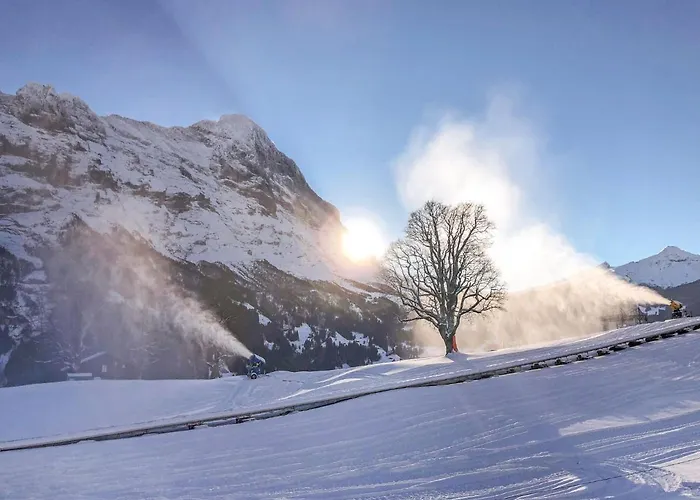 Apartamento Bodmisunne-2 By Interhome Grindelwald