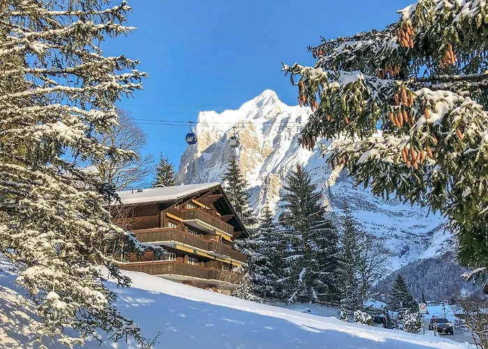 Appartement Bodmisunne-2 By Interhome Grindelwald