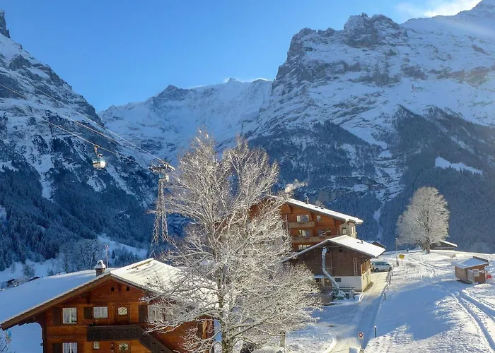 Appartement Bodmisunne-2 By Interhome Grindelwald