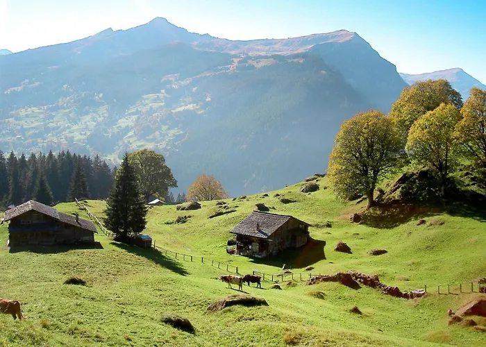 Bodmisunne-2 By Interhome Apartamento