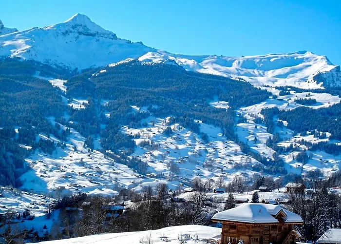 Bodmisunne-2 By Interhome Grindelwald