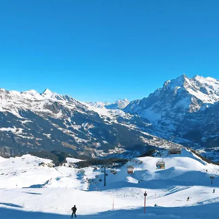 Appartamento Bodmisunne-2 By Interhome Grindelwald